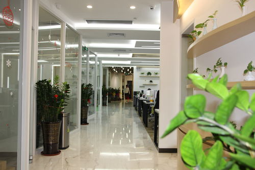 佳多丽 日用百货中的美妆新势力，品牌联盟的共赢之道